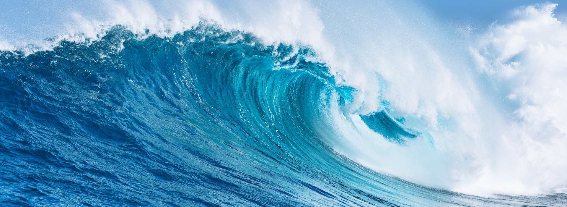 WHAT’S AHEAD IN WAVE 2 FOR D365 SALES